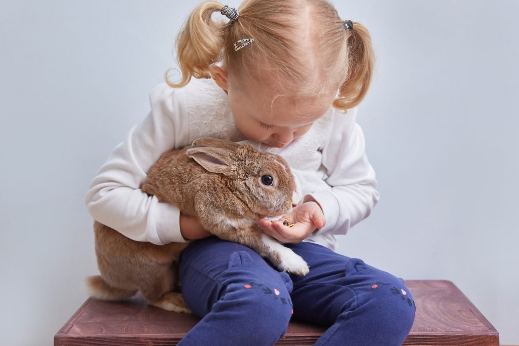 la bambina nutre un animale domestico dalle mani di un coniglio decorativo