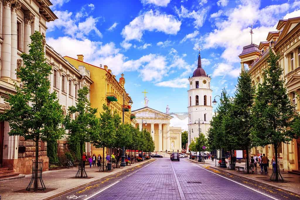Piazza della cattedrale vista da Gediminas Avenue, la strada principale di Vilnius, Lituania, una famosa località per lo shopping e i ristoranti