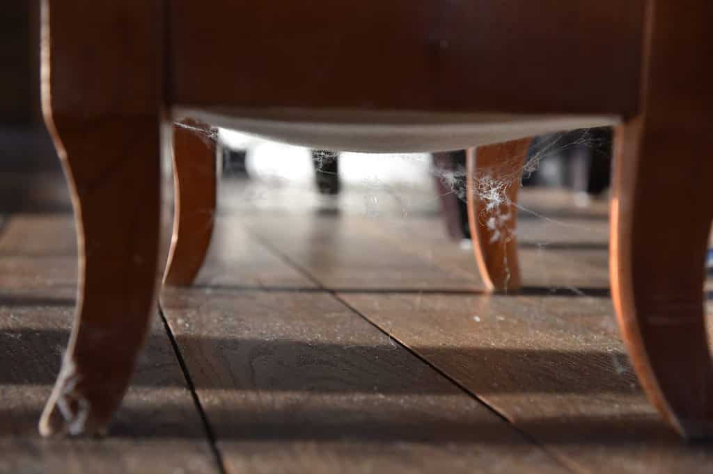 Ragnatele intorno alle gambe di legno della sedia sul sole retroilluminato del pavimento di legno marrone scuro
