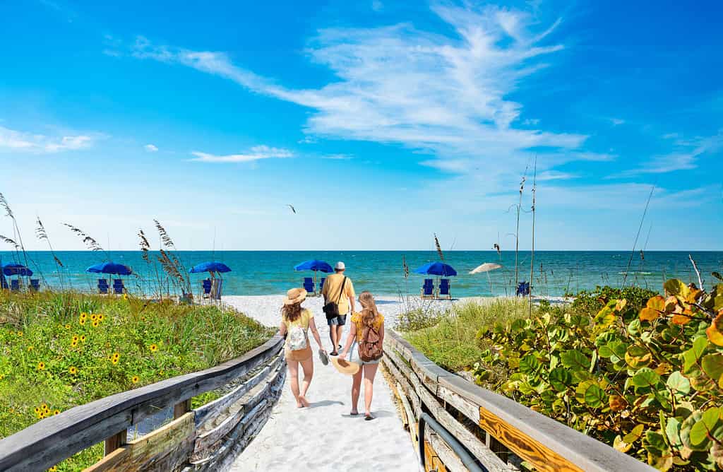 Famiglia in viaggio di vacanze estive in Florida.  Persone che camminano sul sentiero verso la spiaggia.  Amici che esplorano l'isola lungo la costa del Golfo.  Parco statale dell'isola di Caladesi, Stati Uniti, Florida.