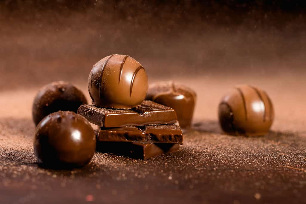 barrette di cioccolato e praline con spolverata di cacao in polvere