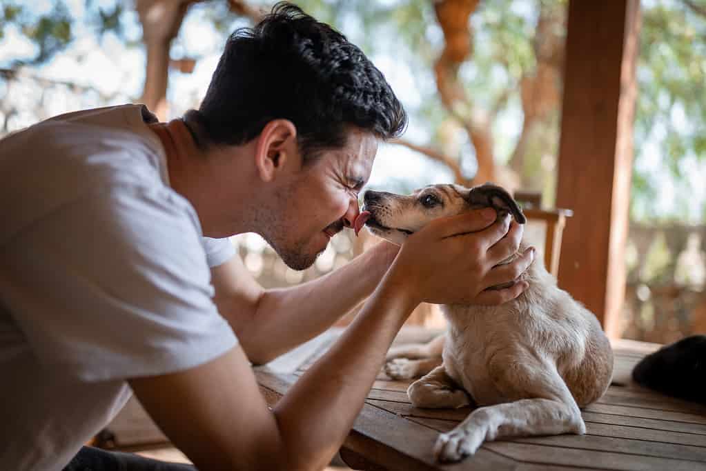 avvicinamento.  un cane lecca il naso di un giovane in giardino