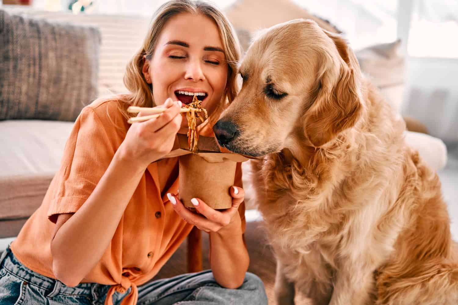 Il Golden Retriever lecca con entusiasmo la scatola di carta con gli spaghetti cinesi mangiati da una giovane donna.  Proprietaria di un animale domestico che condivide il cibo con un adorabile amico peloso in un accogliente appartamento.                               