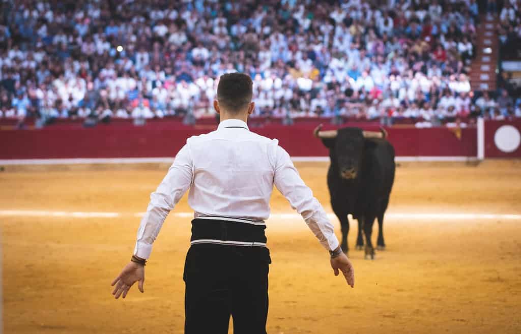 La corrida in Spagna, tradizione, cultura, devozione e arte
