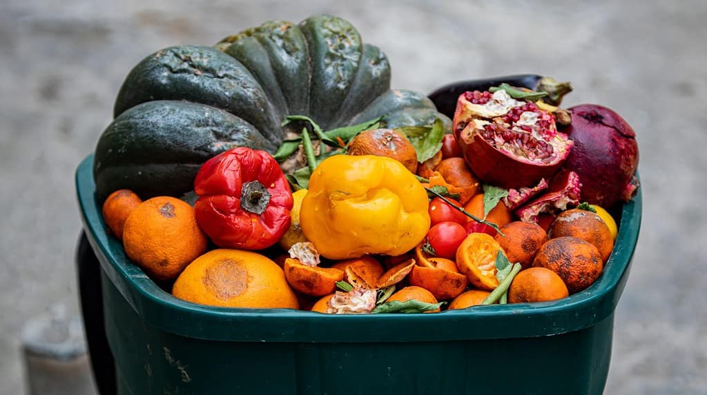 Frutta e verdura guastate.  Perdite e sprechi alimentari in azienda o al mercato