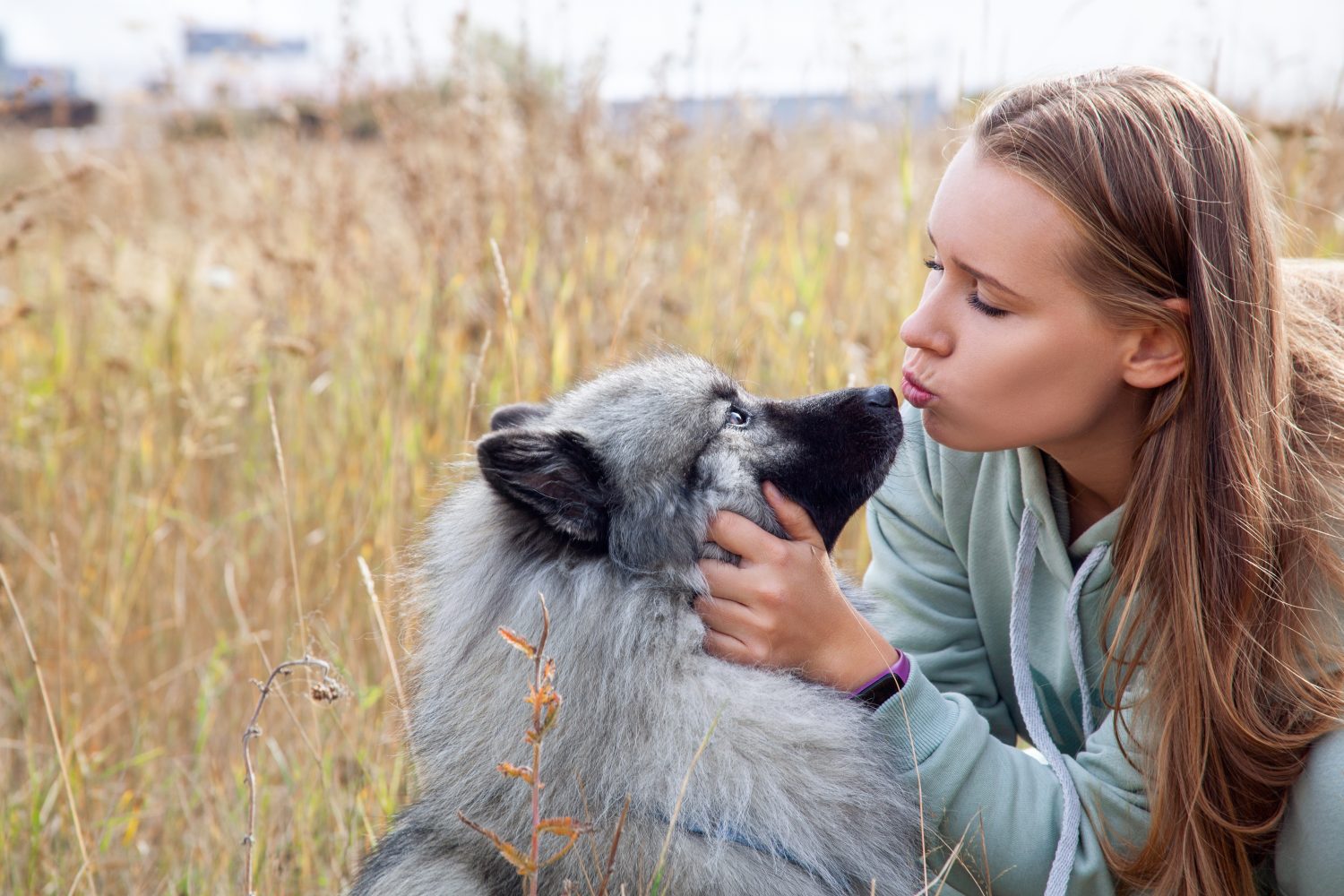 Giovane donna con il suo cane che abbraccia e bacia nel campo.