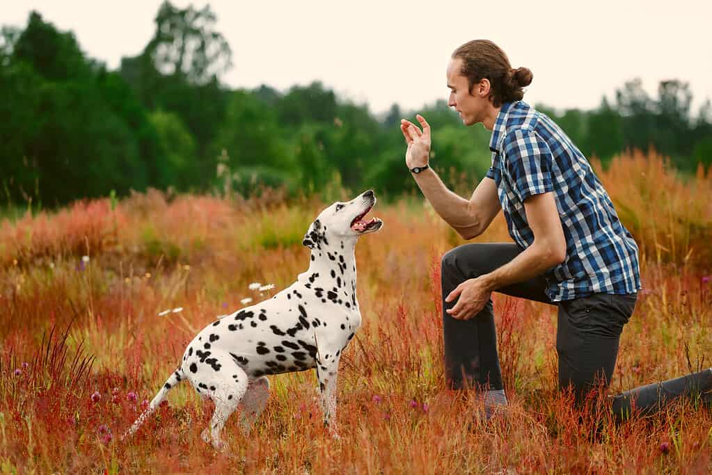 Proprietario con cane sul campo