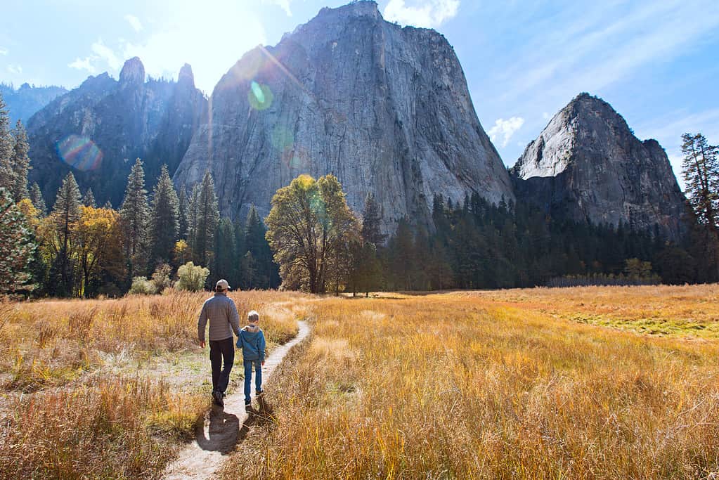 Sono ammessi i cani a Yosemite