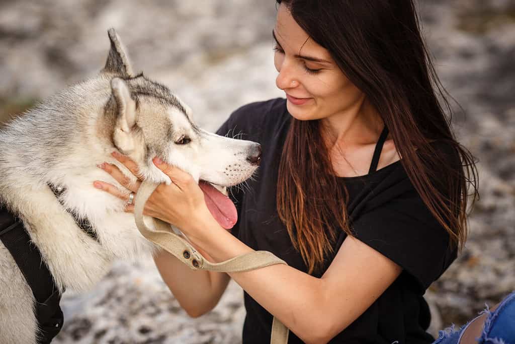 Bella ragazza gioca con un cane, husky grigio e bianco, in montagna al tramonto.  Ragazza indiana e il suo lupo