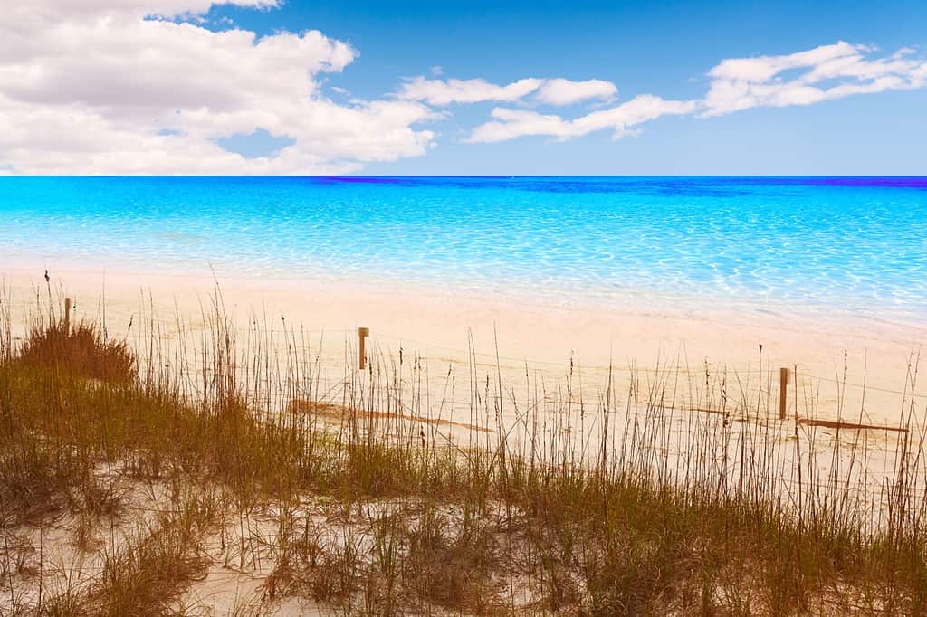 Spiaggia di Destin in Florida presso Henderson State Park USA