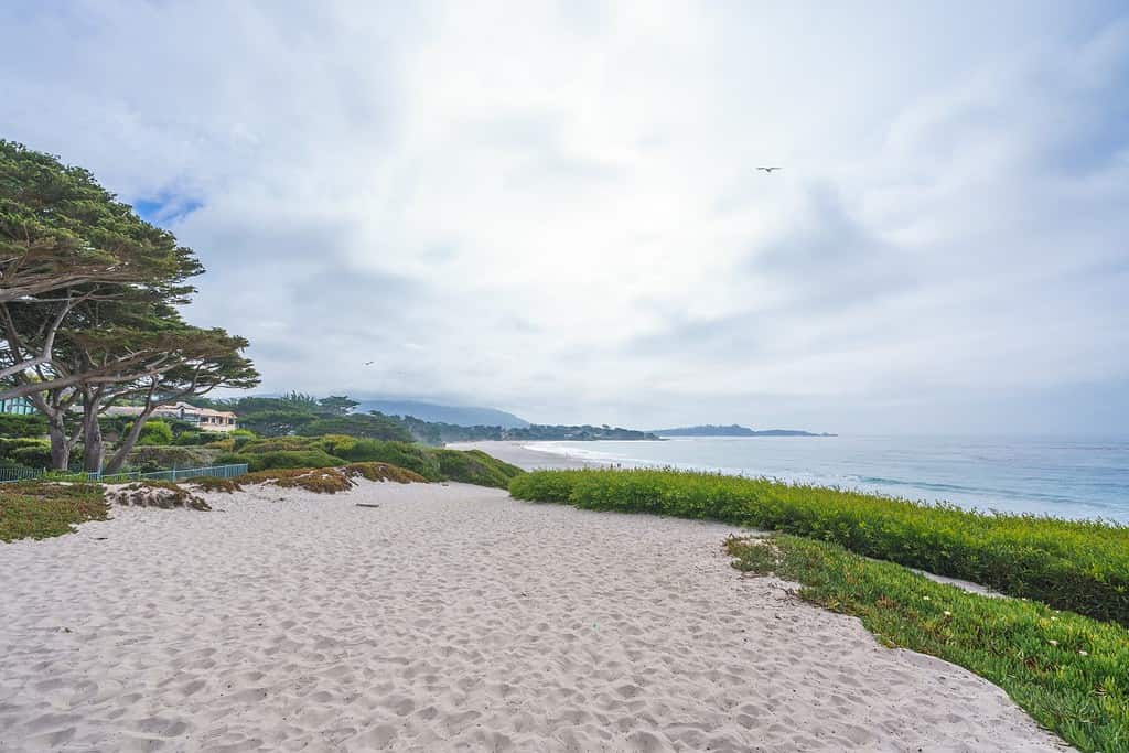 Carmel Beach, una lunga, ampia spiaggia di sabbia bianca. Carmel Beach è uno dei luoghi più iconici della Central Coast della California