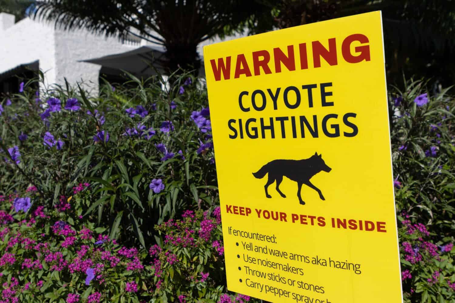Segnale di avvertimento sui coyote in un quartiere suburbano