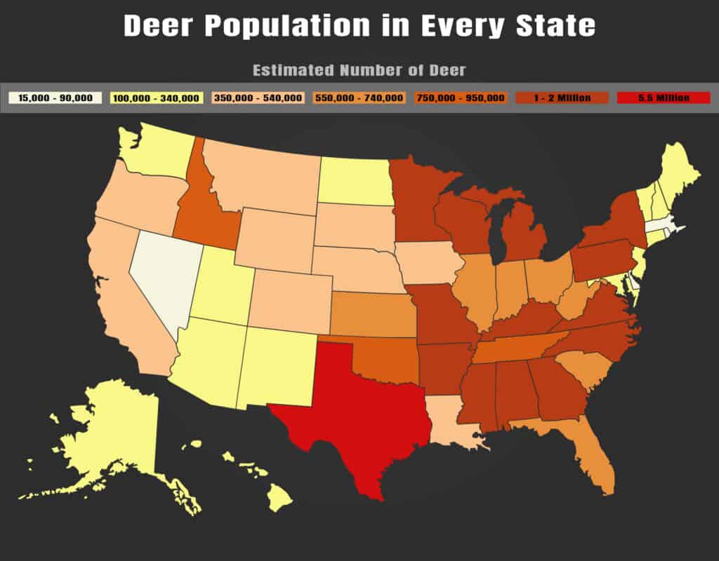 Popolazione di cervi per stato: quanti cervi ci sono negli Stati Uniti?
