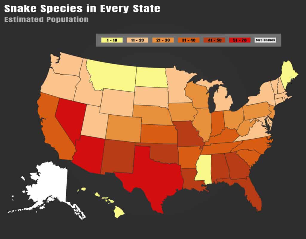 Popolazione di serpenti per stato nel 2024: quale stato ha il maggior numero di specie?
