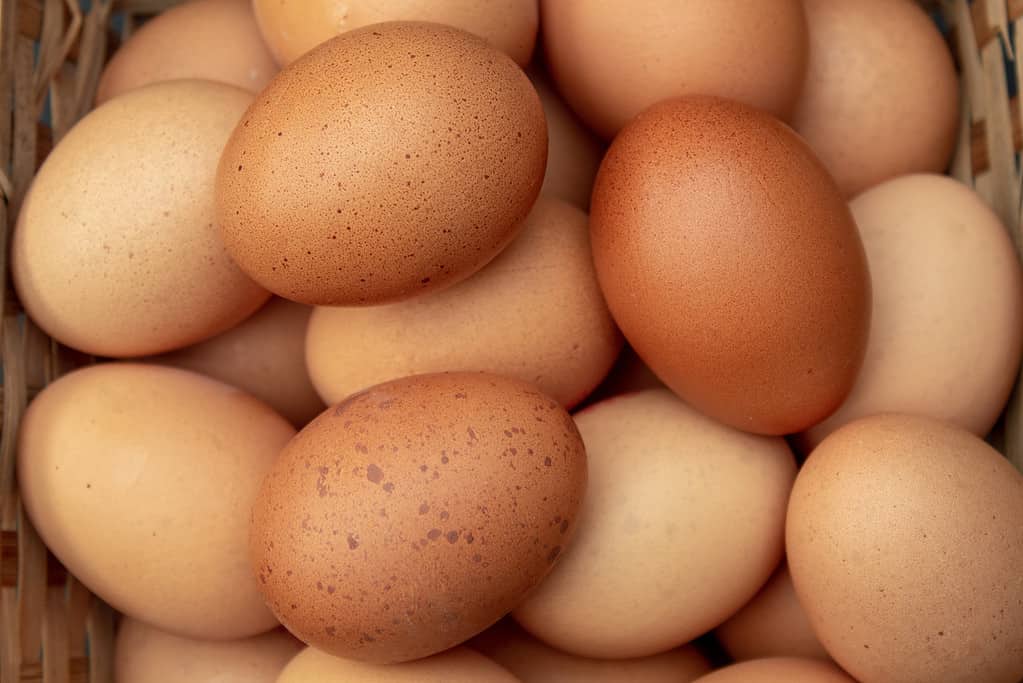 Un cesto di uova di gallina dall'alto