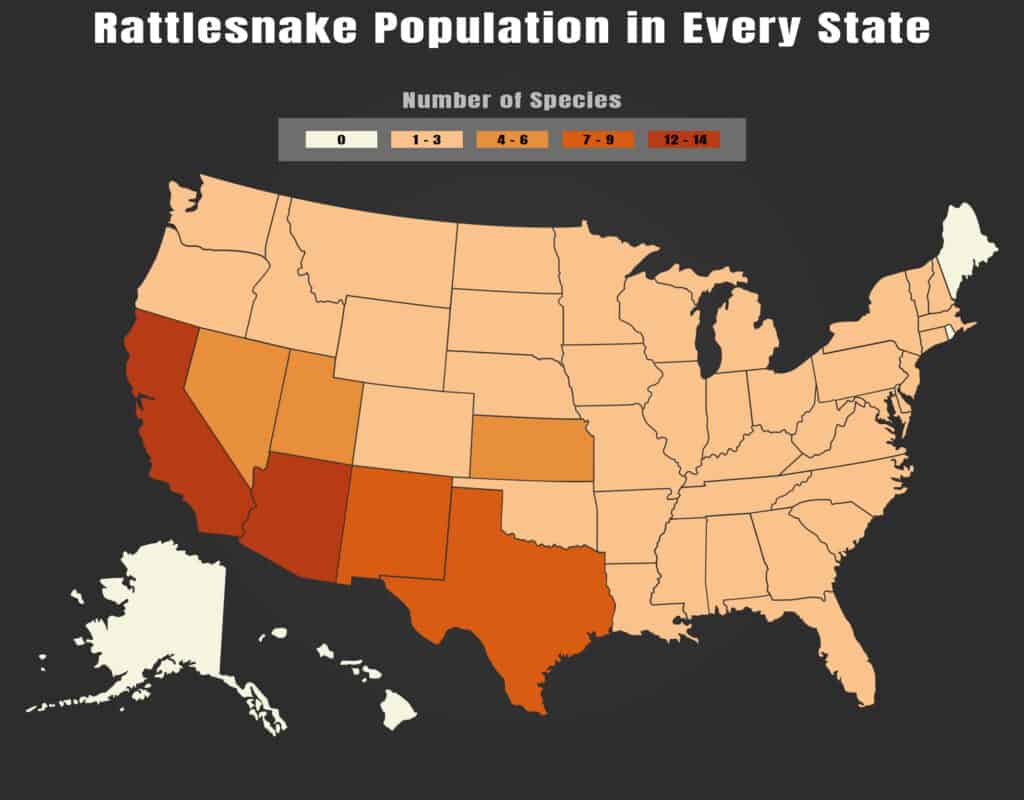 Popolazione di serpenti a sonagli per stato

