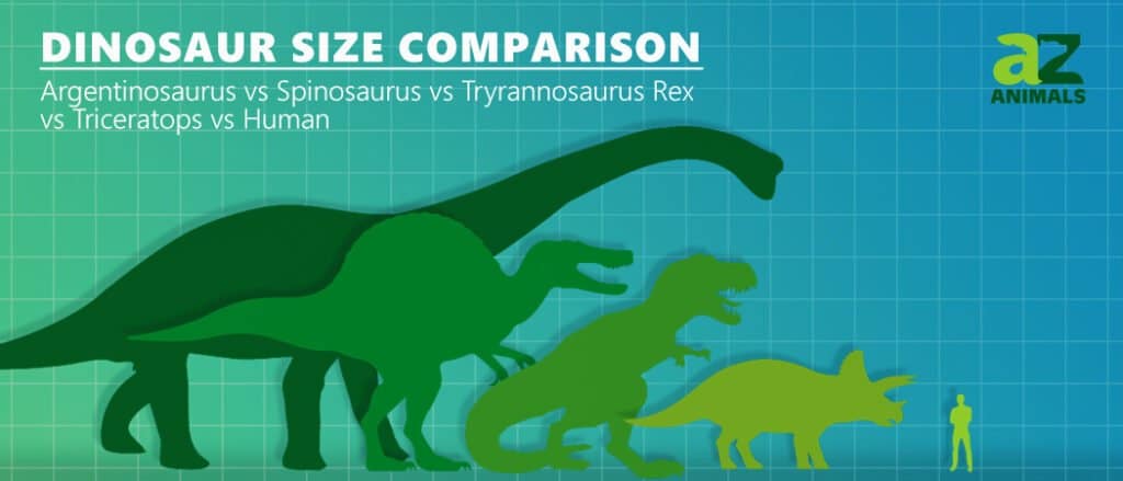 Incontra lo Spinosauro, uno dei più grandi dinosauri carnivori della storia (più grande di un T-Rex!)
