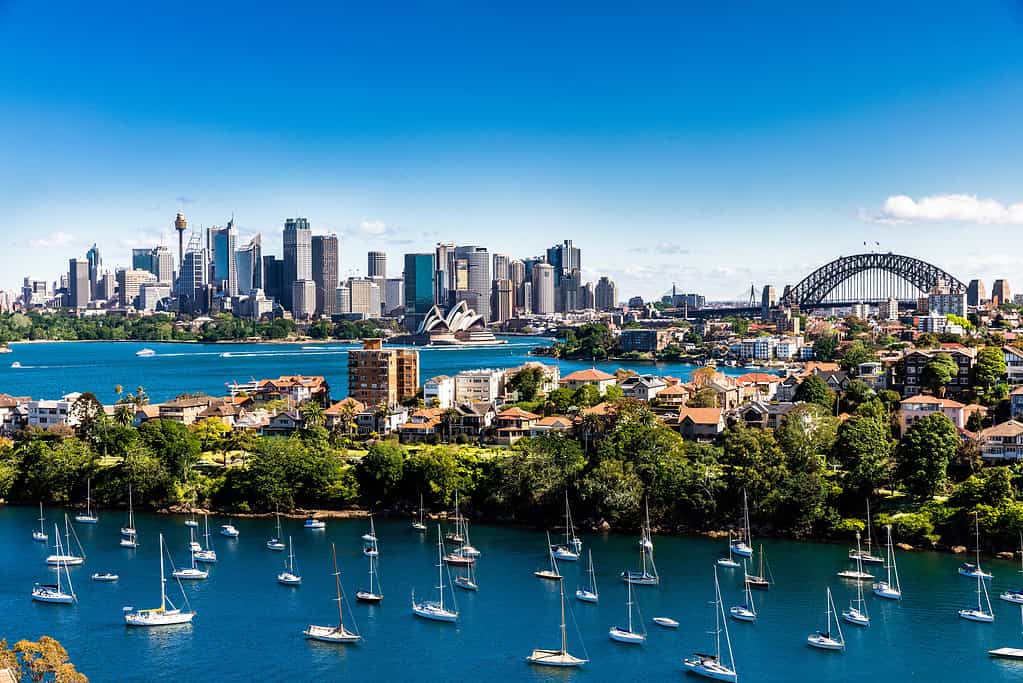 Panorama della città e del porto di Sydney in una giornata limpida e luminosa