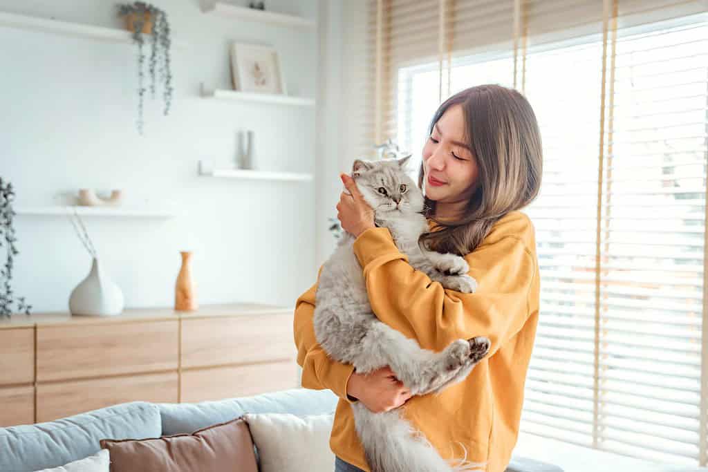 Giovane donna asiatica felice che abbraccia un grazioso gatto persiano grigio sul divano nel soggiorno di casa, adorabile concetto di animale domestico.
