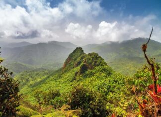 Vista vibrante El Yunque