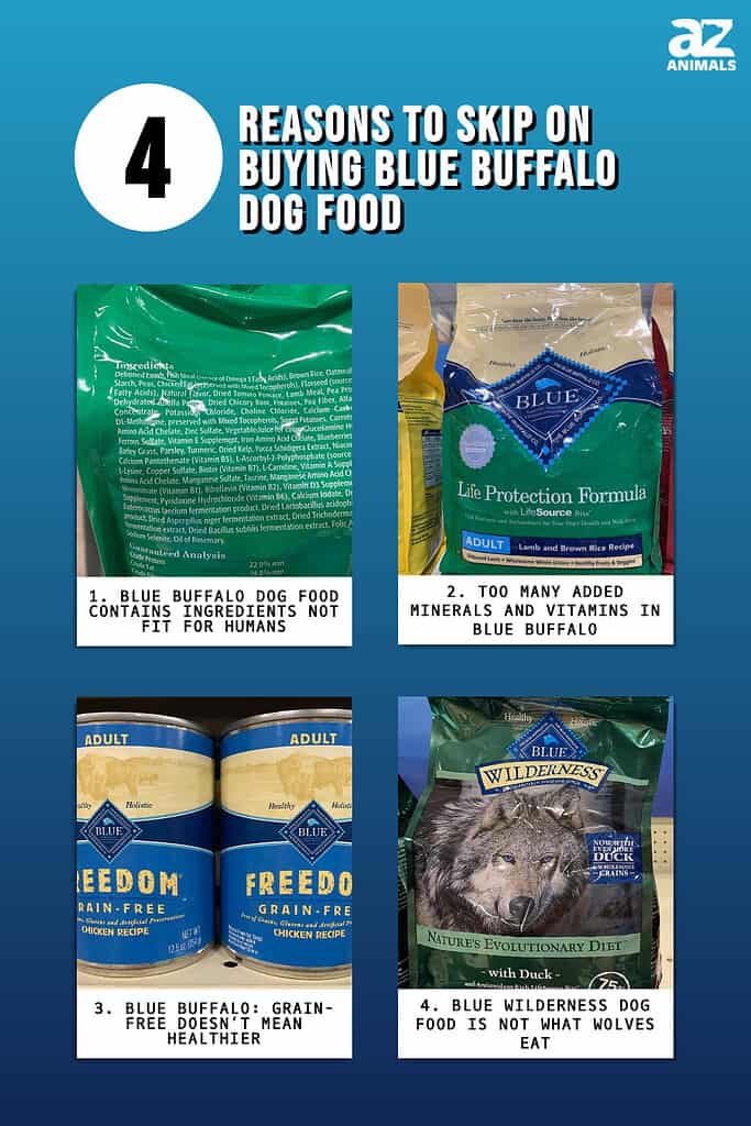 4 motivi per non acquistare cibo per cani Blue Buffalo
