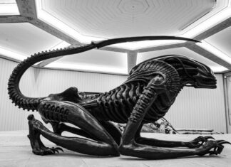 Alien vs. Predator: 10 animali reali che assomigliano di più a questi cattivi della fantascienza
