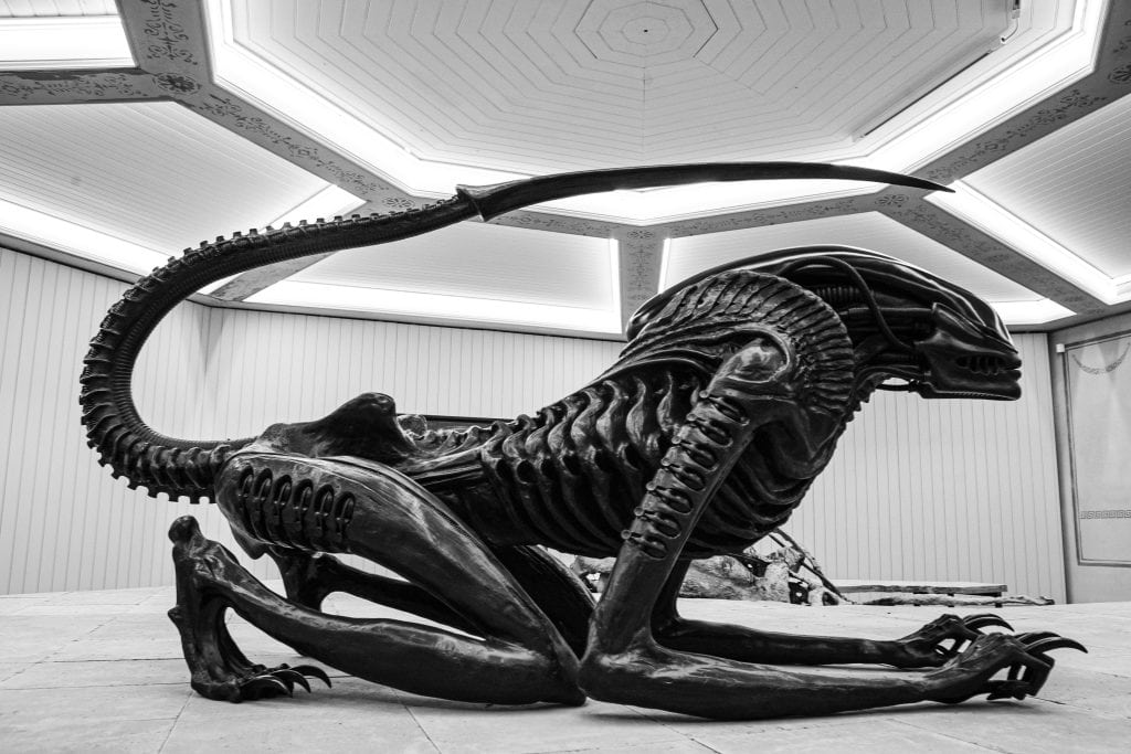 Alien vs. Predator: 10 animali reali che assomigliano di più a questi cattivi della fantascienza
