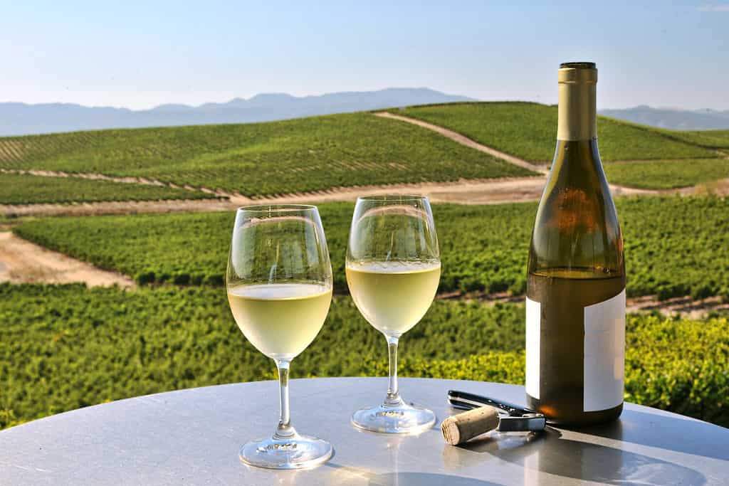 due bicchieri di vino bianco con vista sulla Napa Valley