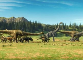 Per quanto tempo i dinosauri sono rimasti sulla Terra?