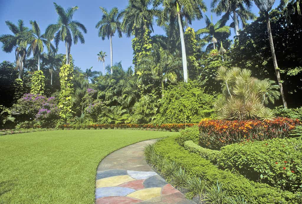 Sunken Gardens, i giardini botanici più importanti della Florida, St. Petersburg, Florida