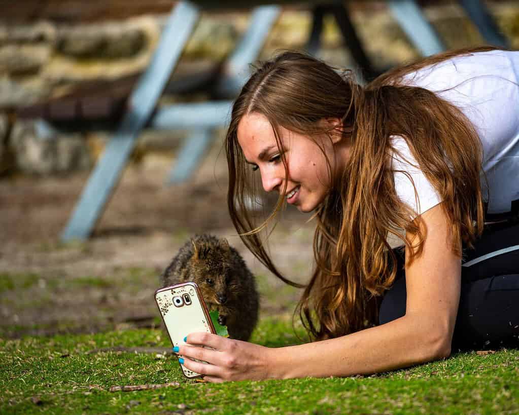 bella ragazza posa per una foto con un quokka sull'isola di Rottenst nell'Australia occidentale, selfie con un simpatico animale selvatico a Rottenst in Australia