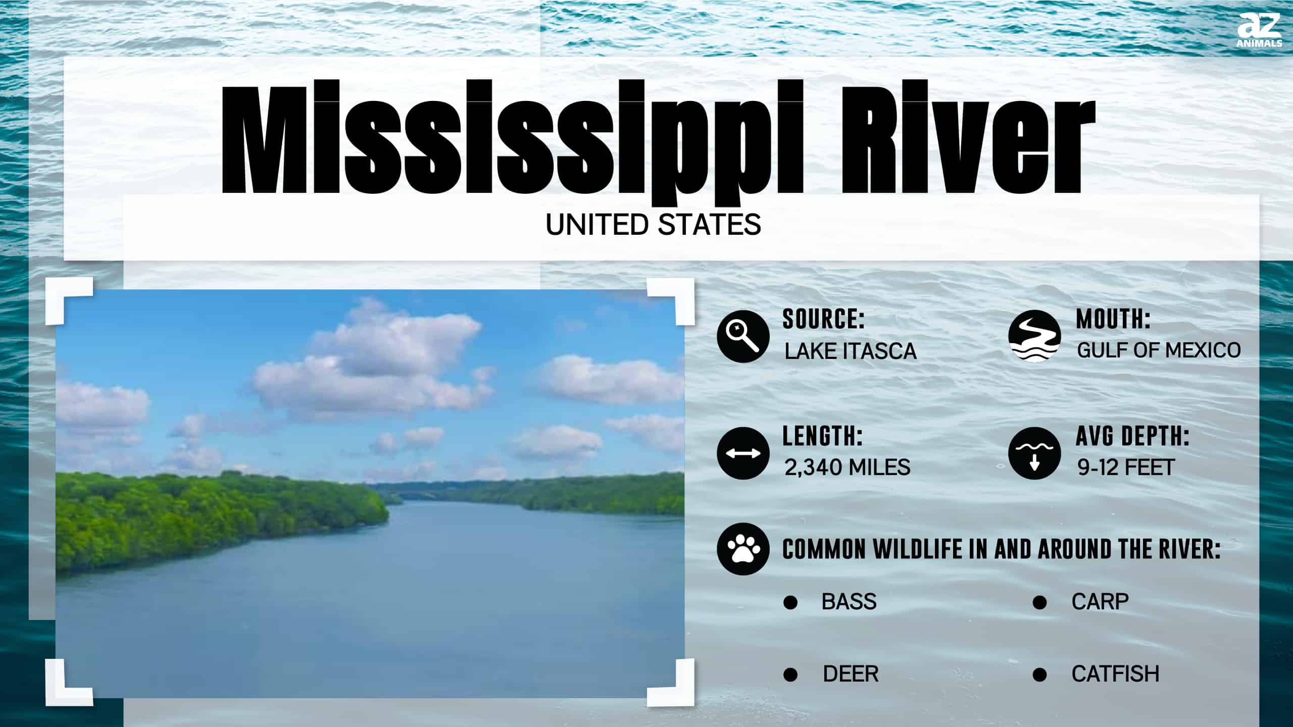River Monsters: scopri il pesce più grande del fiume Mississippi
