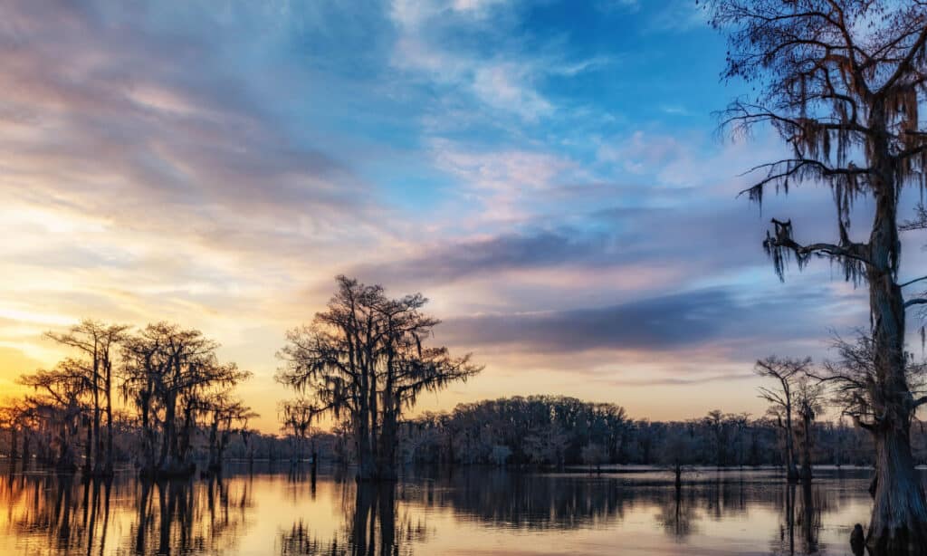 Lago Caddo