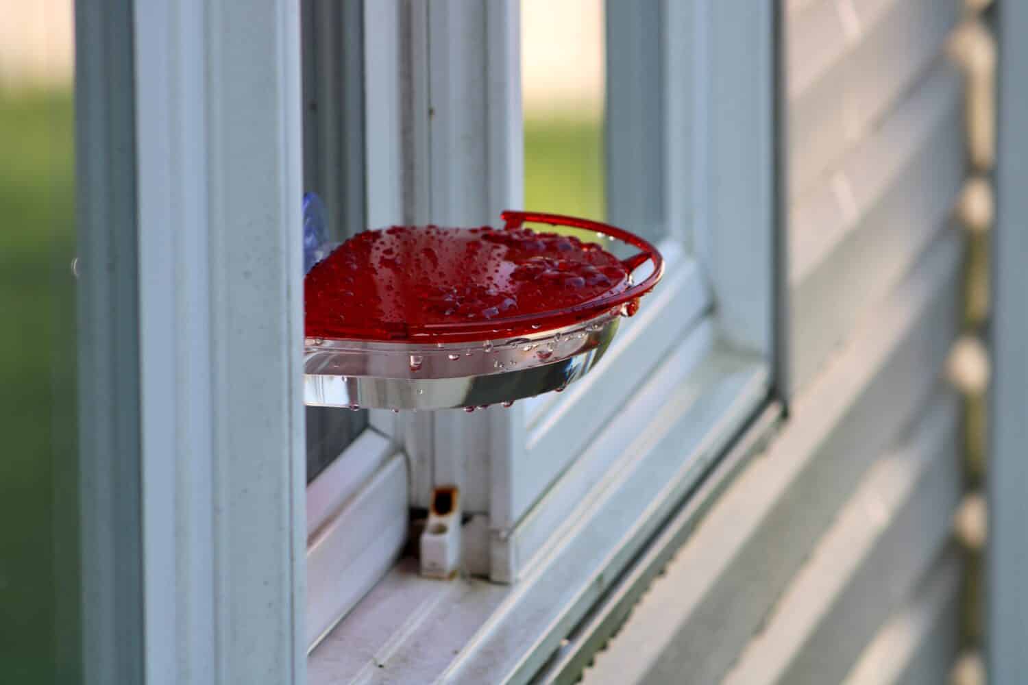 Una mangiatoia rotonda con finestra che si fissa all'esterno tramite ventose. La mangiatoia per colibrì è rossa con tre porte di alimentazione e una barra su cui gli uccelli possono appollaiarsi mentre bevono.