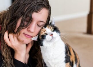 Una giovane donna che gioca con la sua gatta calico