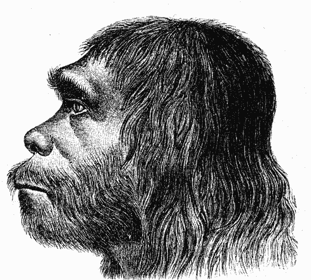 denisoviano contro neanderthal