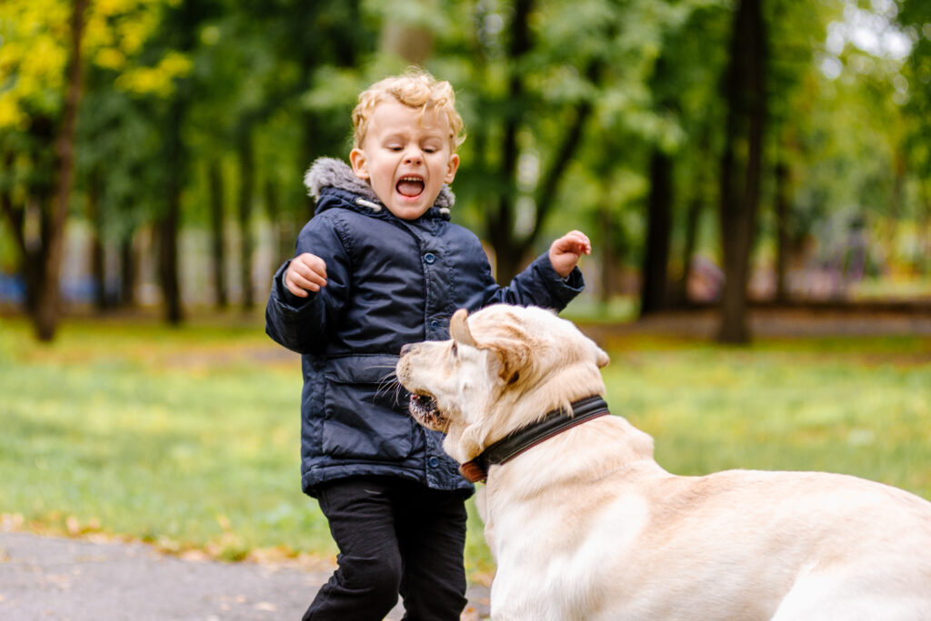 il bambino ha paura del cane. Un grosso cane spaventa un bambino al parco