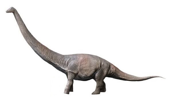 Ricostruzione della vita di Dreadnoughtus schrani; Titanosauro Dreadnoughtus