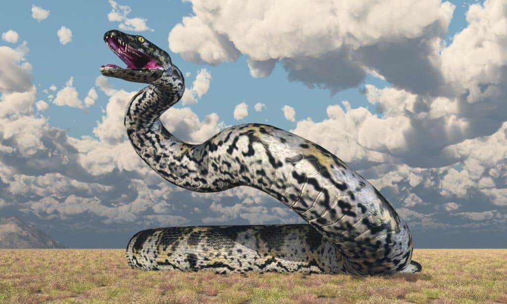 Illustrazione di Titanoboa