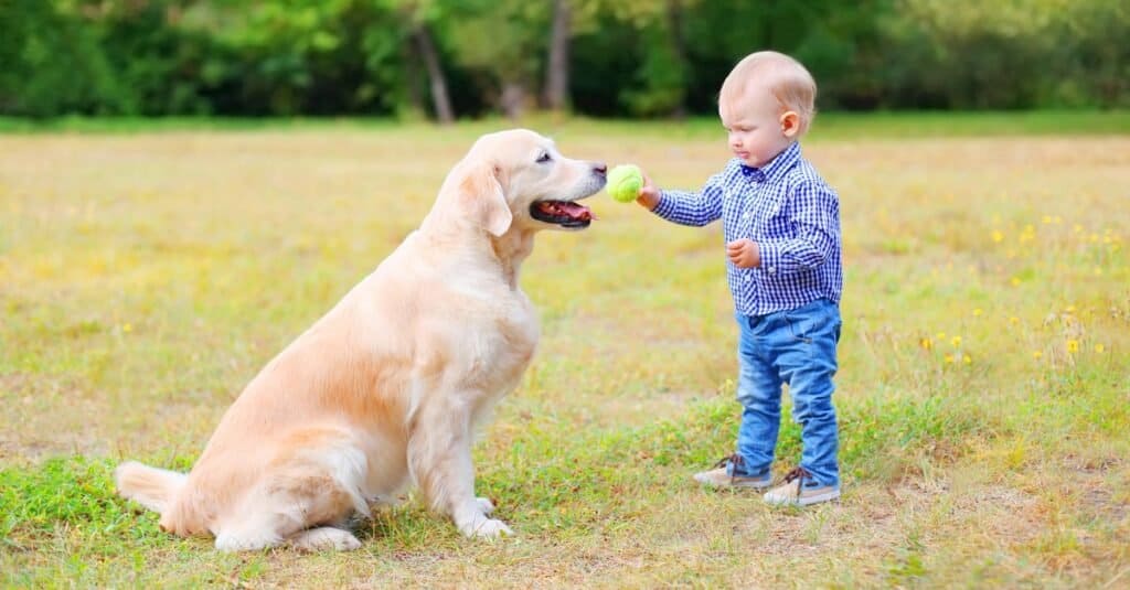 I migliori animali per bambini