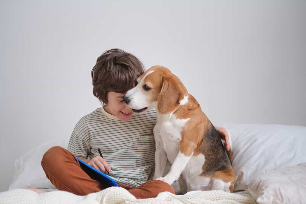 ragazzo e fedele beagle che si abbracciano amorevolmente in un'incantevole istantanea. Momento perfetto di un amante dei cani che coccola il suo compagno peloso, irradiando felicità