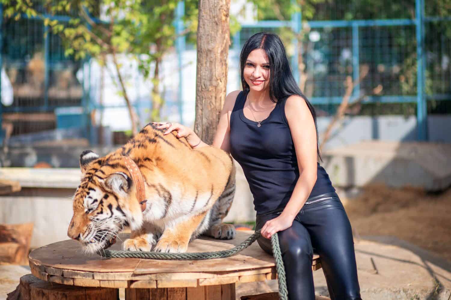 Una bella ragazza in abiti neri con capelli neri in posa accanto a una tigre. Simbolo dell'anno 2022