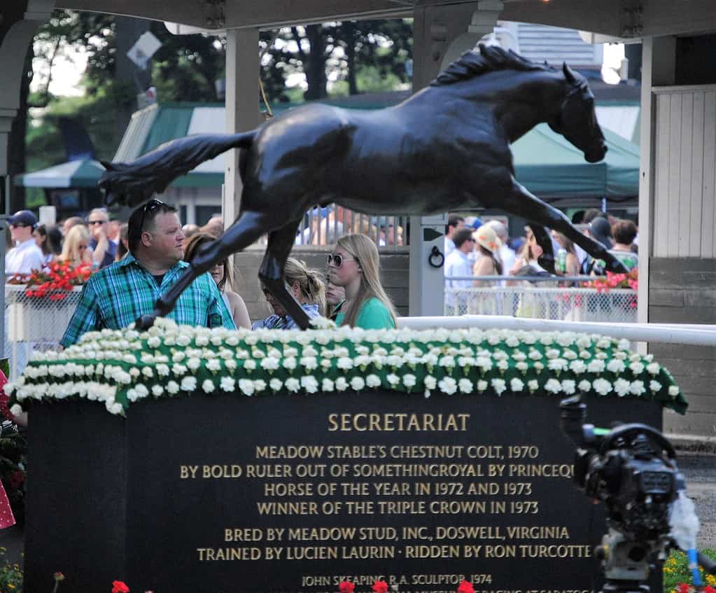 Statuto del campione di cavalli da corsa Segreteria a Belmont Park