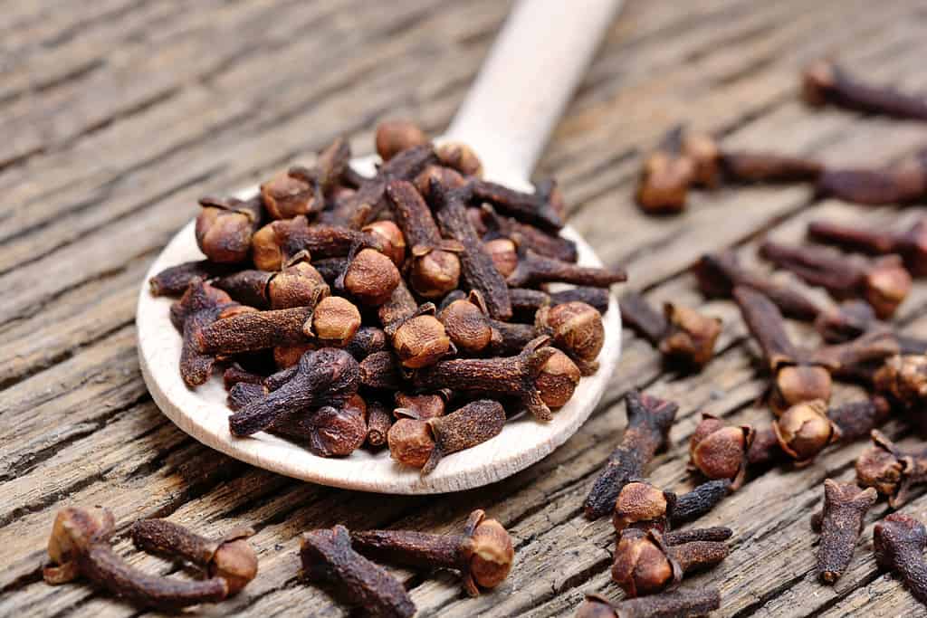 Cucchiaio di legno con chiodi di garofano su tavolo rustico