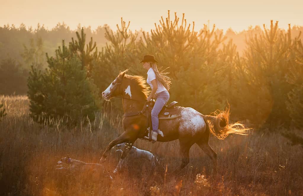 Ragazza che cavalca un cavallo Appaloosa