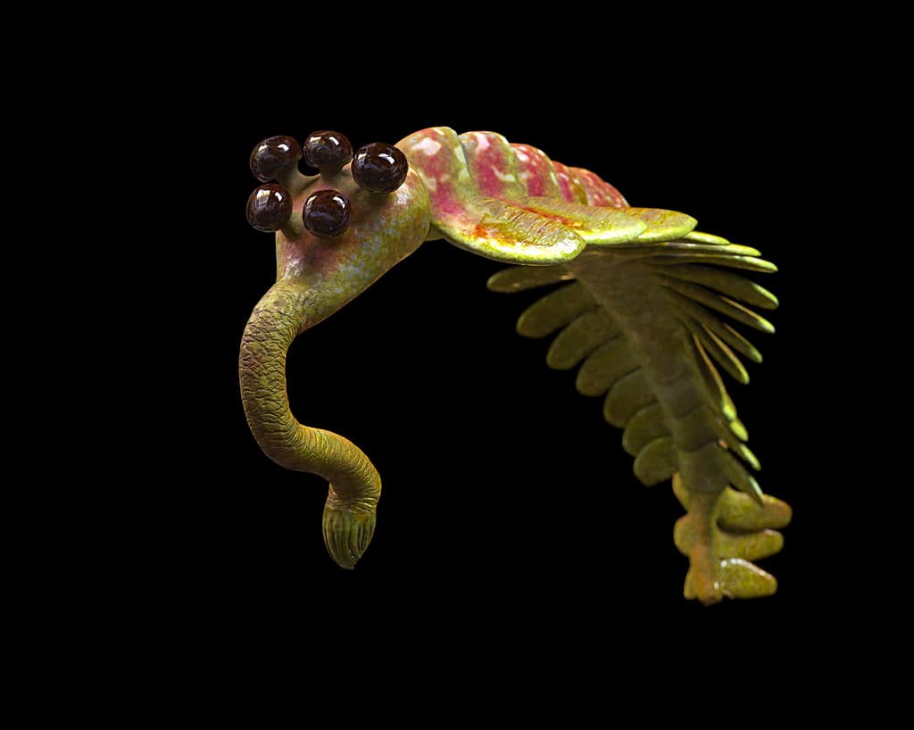 Opabinia regalis, animale acquatico preistorico da 505 milioni fa a 487 milioni di anni fa isolato su sfondo nero (rendering scientifico 3d)