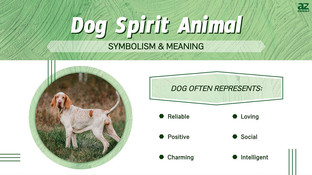 Infografica sullo spirito animale del cane