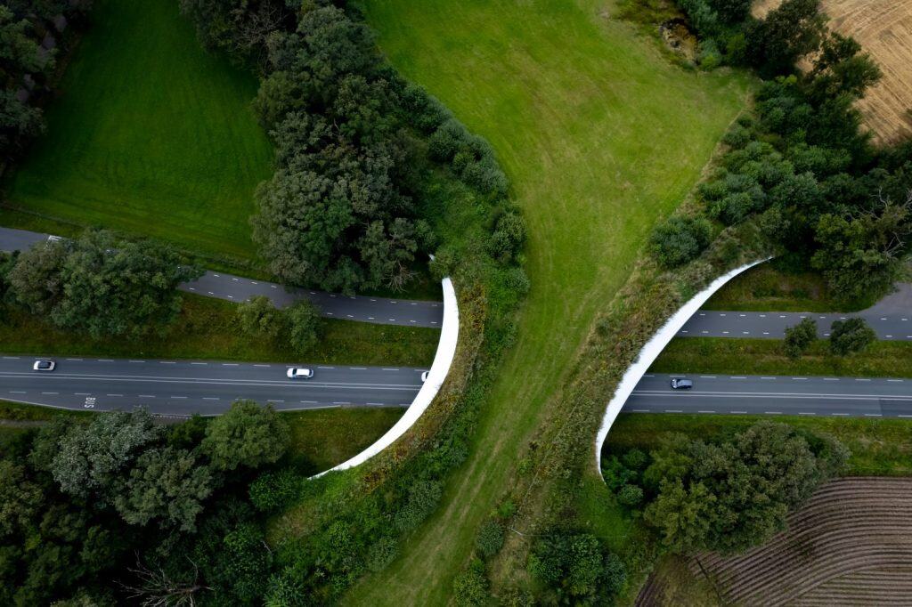 Autostrada che passa sotto l'attraversamento della fauna selvatica formando un ponte corridoio naturale sicuro per la migrazione degli animali tra le aree protette. Passaggio ecologico delle infrastrutture della riserva naturale ambientale.