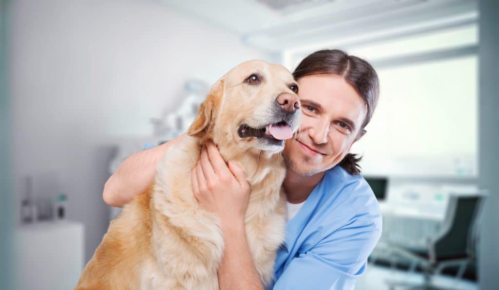 Giovane veterinario che accarezza un cane in clinica