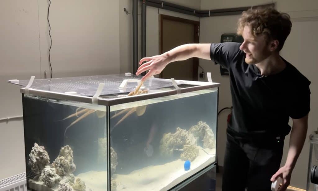 Mattias Krantz e il suo polipo Tako